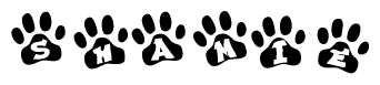 The image shows a row of animal paw prints, each containing a letter. The letters spell out the word Shamie within the paw prints.