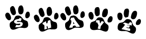The image shows a series of animal paw prints arranged in a horizontal line. Each paw print contains a letter, and together they spell out the word Shaye.