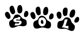 Animal Paw Prints with Sol Lettering