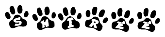 The image shows a series of animal paw prints arranged in a horizontal line. Each paw print contains a letter, and together they spell out the word Shiree.