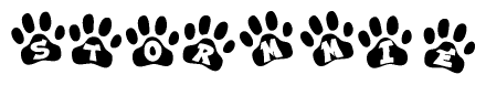 The image shows a series of animal paw prints arranged horizontally. Within each paw print, there's a letter; together they spell Stormmie
