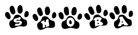 The image shows a series of animal paw prints arranged in a horizontal line. Each paw print contains a letter, and together they spell out the word Shoba.