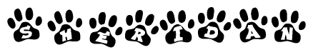 Animal Paw Prints with Sheridan Lettering