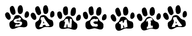 The image shows a series of animal paw prints arranged in a horizontal line. Each paw print contains a letter, and together they spell out the word Sanchia.