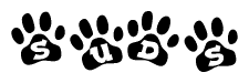 The image shows a series of animal paw prints arranged in a horizontal line. Each paw print contains a letter, and together they spell out the word Suds.