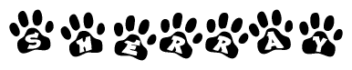The image shows a series of animal paw prints arranged in a horizontal line. Each paw print contains a letter, and together they spell out the word Sherray.