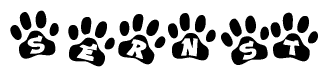 The image shows a row of animal paw prints, each containing a letter. The letters spell out the word Sernst within the paw prints.