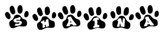 The image shows a series of animal paw prints arranged horizontally. Within each paw print, there's a letter; together they spell Shaina