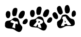 The image shows a row of animal paw prints, each containing a letter. The letters spell out the word Tra within the paw prints.