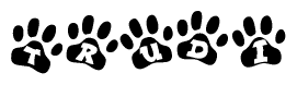 Animal Paw Prints with Trudi Lettering