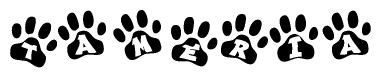 The image shows a series of animal paw prints arranged horizontally. Within each paw print, there's a letter; together they spell Tameria