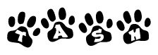 The image shows a row of animal paw prints, each containing a letter. The letters spell out the word Tash within the paw prints.
