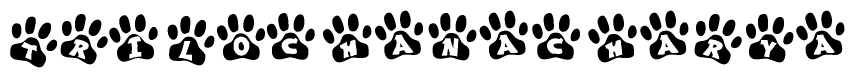 The image shows a row of animal paw prints, each containing a letter. The letters spell out the word Trilochanacharya within the paw prints.