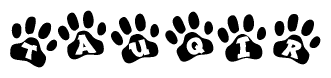 The image shows a row of animal paw prints, each containing a letter. The letters spell out the word Tauqir within the paw prints.
