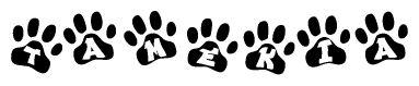 The image shows a series of animal paw prints arranged horizontally. Within each paw print, there's a letter; together they spell Tamekia