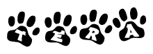 The image shows a series of animal paw prints arranged in a horizontal line. Each paw print contains a letter, and together they spell out the word Tera.