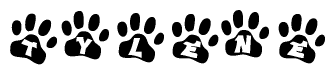 The image shows a series of animal paw prints arranged horizontally. Within each paw print, there's a letter; together they spell Tylene
