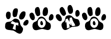 The image shows a row of animal paw prints, each containing a letter. The letters spell out the word Tomo within the paw prints.