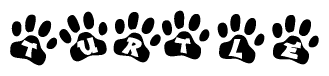 Animal Paw Prints with Turtle Lettering