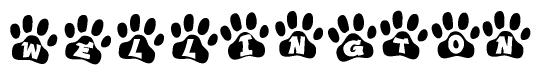 The image shows a row of animal paw prints, each containing a letter. The letters spell out the word Wellington within the paw prints.