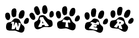 The image shows a series of animal paw prints arranged in a horizontal line. Each paw print contains a letter, and together they spell out the word Water.