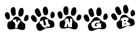 The image shows a series of animal paw prints arranged horizontally. Within each paw print, there's a letter; together they spell Yungb