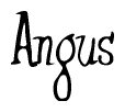 The image is of the word Angus stylized in a cursive script.