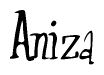 The image is of the word Aniza stylized in a cursive script.