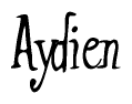 The image is a stylized text or script that reads 'Aydien' in a cursive or calligraphic font.