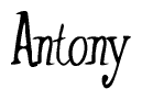 The image contains the word 'Antony' written in a cursive, stylized font.