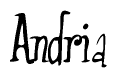 The image is of the word Andria stylized in a cursive script.