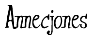 The image is of the word Annecjones stylized in a cursive script.