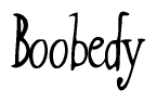 The image is of the word Boobedy stylized in a cursive script.