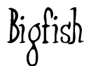 The image is a stylized text or script that reads 'Bigfish' in a cursive or calligraphic font.