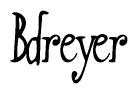 The image is of the word Bdreyer stylized in a cursive script.