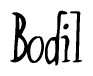 The image contains the word 'Bodil' written in a cursive, stylized font.