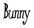 The image contains the word 'Bunny' written in a cursive, stylized font.