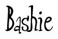 The image is of the word Bashie stylized in a cursive script.