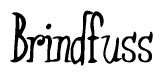 Brindfuss Calligraphy Text 