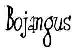 The image is of the word Bojangus stylized in a cursive script.