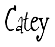 The image is a stylized text or script that reads 'Catey' in a cursive or calligraphic font.