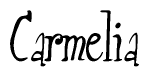 The image contains the word 'Carmelia' written in a cursive, stylized font.