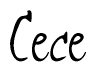The image is of the word Cece stylized in a cursive script.
