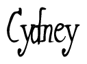 The image contains the word 'Cydney' written in a cursive, stylized font.