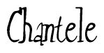 The image contains the word 'Chantele' written in a cursive, stylized font.
