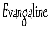 The image contains the word 'Evangaline' written in a cursive, stylized font.