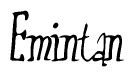 The image is of the word Emintan stylized in a cursive script.