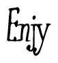 The image contains the word 'Enjy' written in a cursive, stylized font.