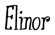 The image contains the word 'Elinor' written in a cursive, stylized font.