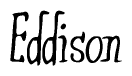 The image is a stylized text or script that reads 'Eddison' in a cursive or calligraphic font.